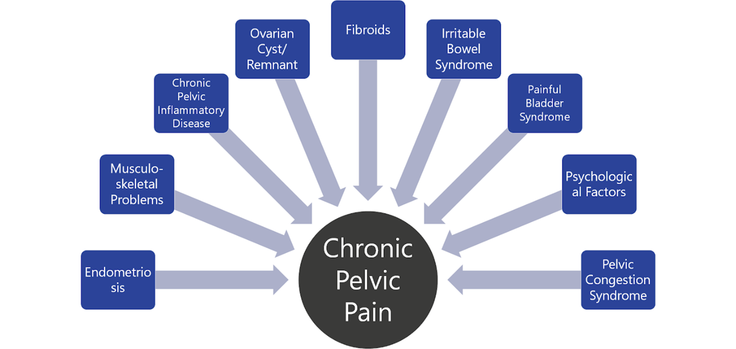 Pelvic Congestion Syndrome, Varicose veins